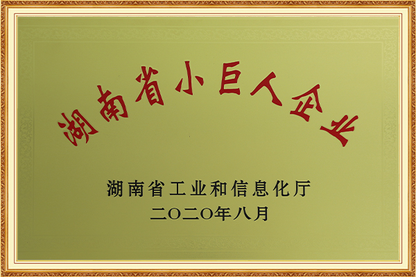 湖南省小巨人企業(yè)2020年8月